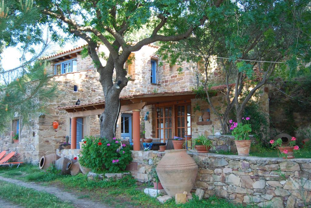 Spiti Elaionas Ferienhaus Karfás